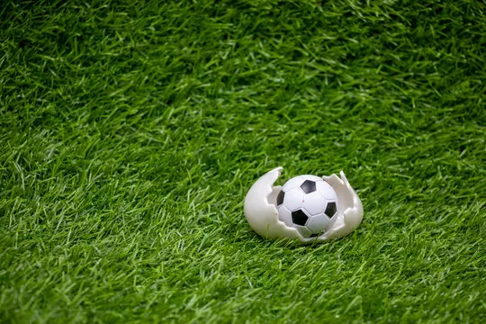 MK体育资讯占位图